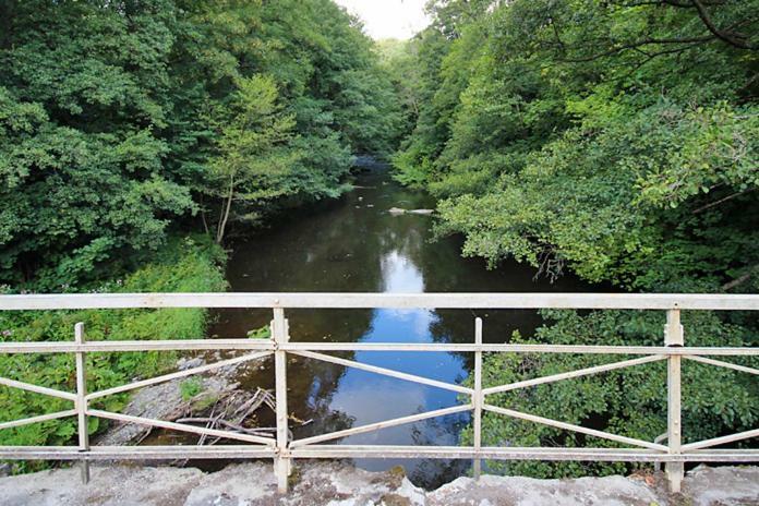 Ferienwohnungen Im Harz Altenbrak Exteriör bild